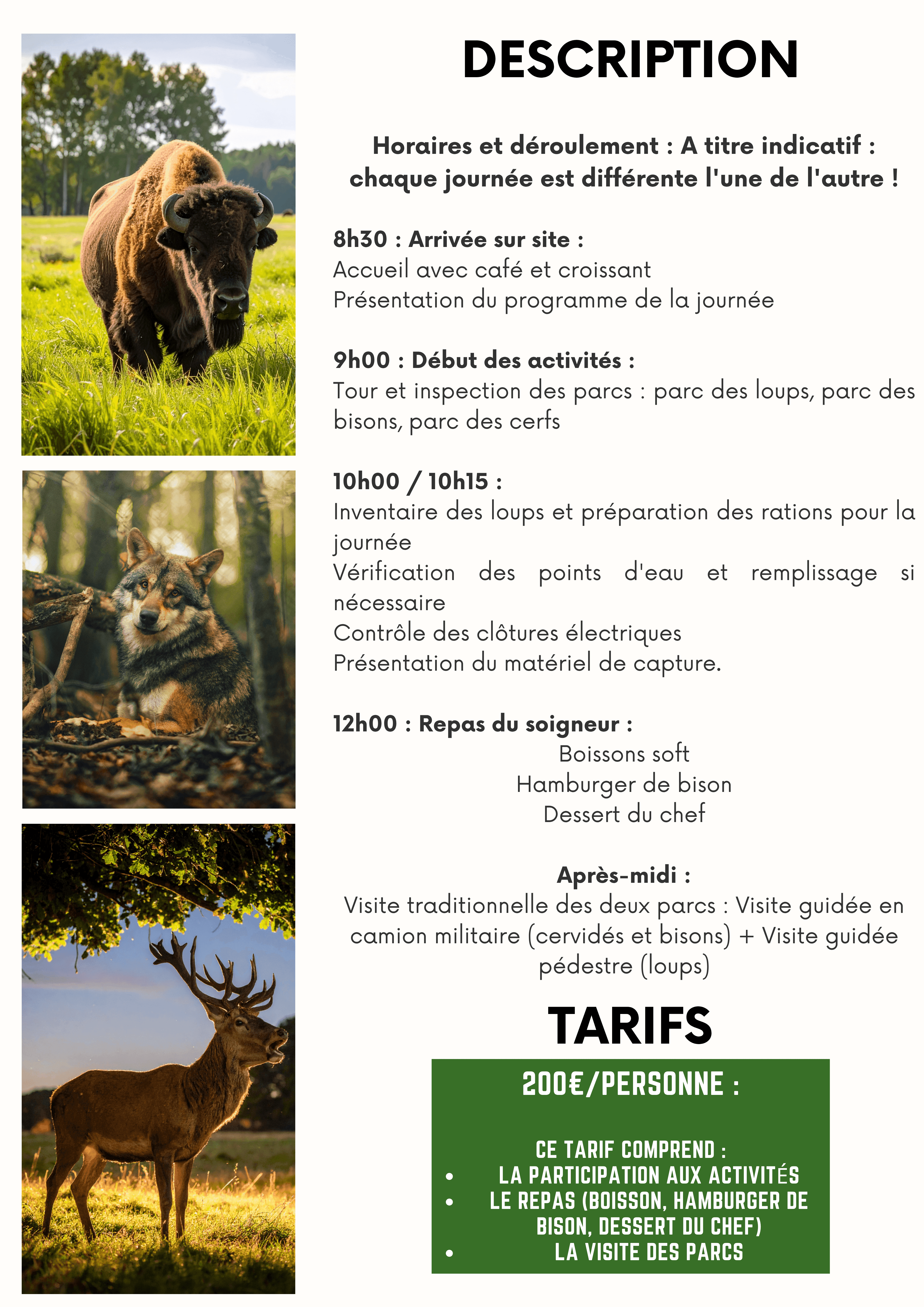 Site internet soirées .png