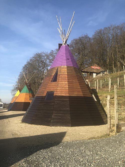 tipi-camping-2023.jpg